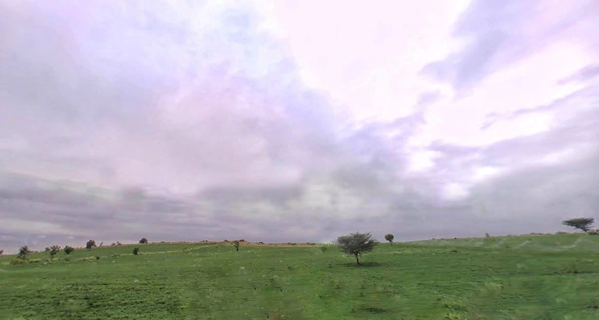 Sherera, Rajasthan 334022, India