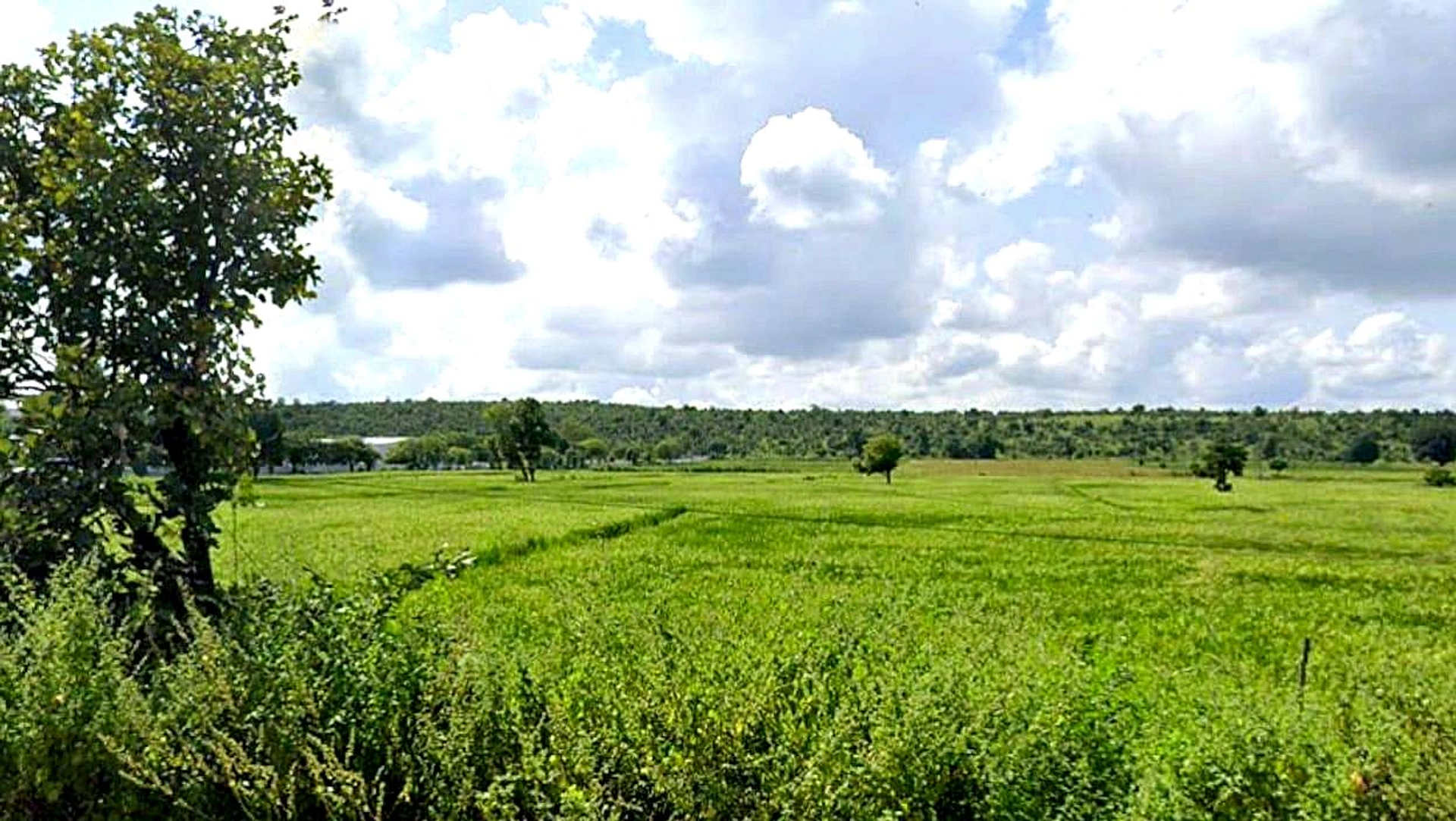 Bangrasia, Bhopal, Madhya Pradesh, India