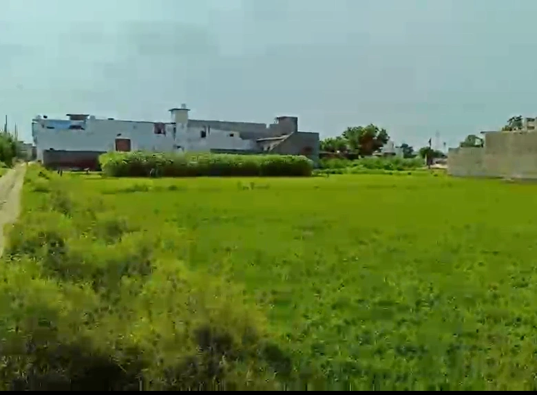 XJJ5+522, Meerut, Rampur Pawti, Afjal Pur Pawti, Uttar Pradesh 250002, India
