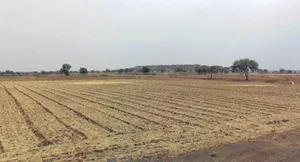 Chawdi, Madhya Pradesh 480661, India preview 3