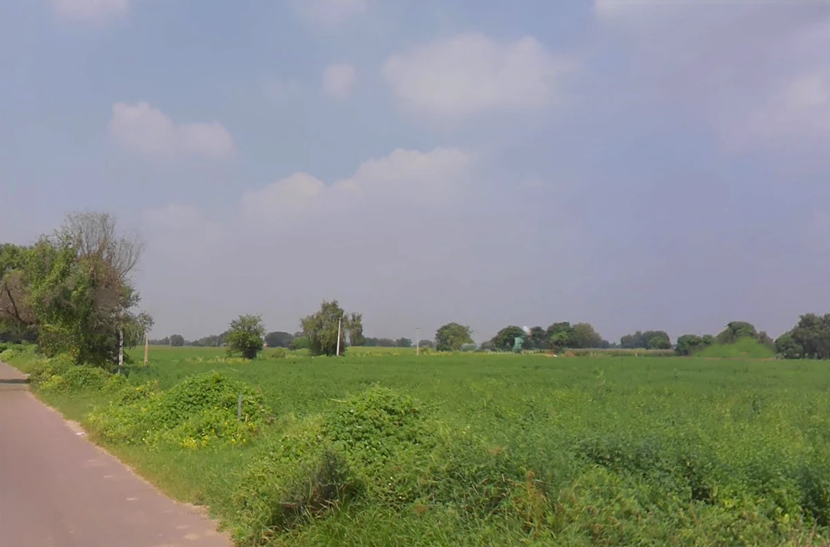 Siwani, Haryana 127046, India