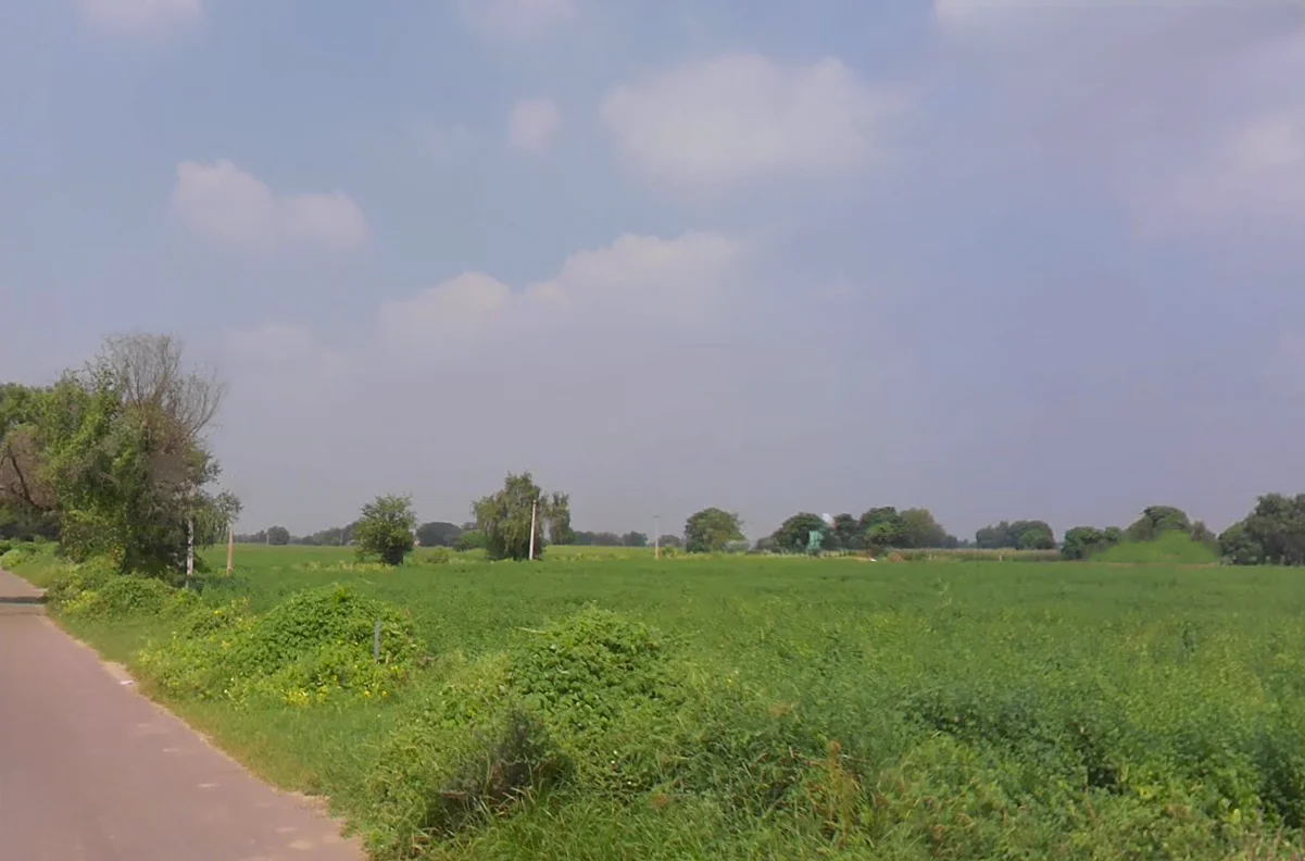 Siwani, Haryana 127046, India preview 2