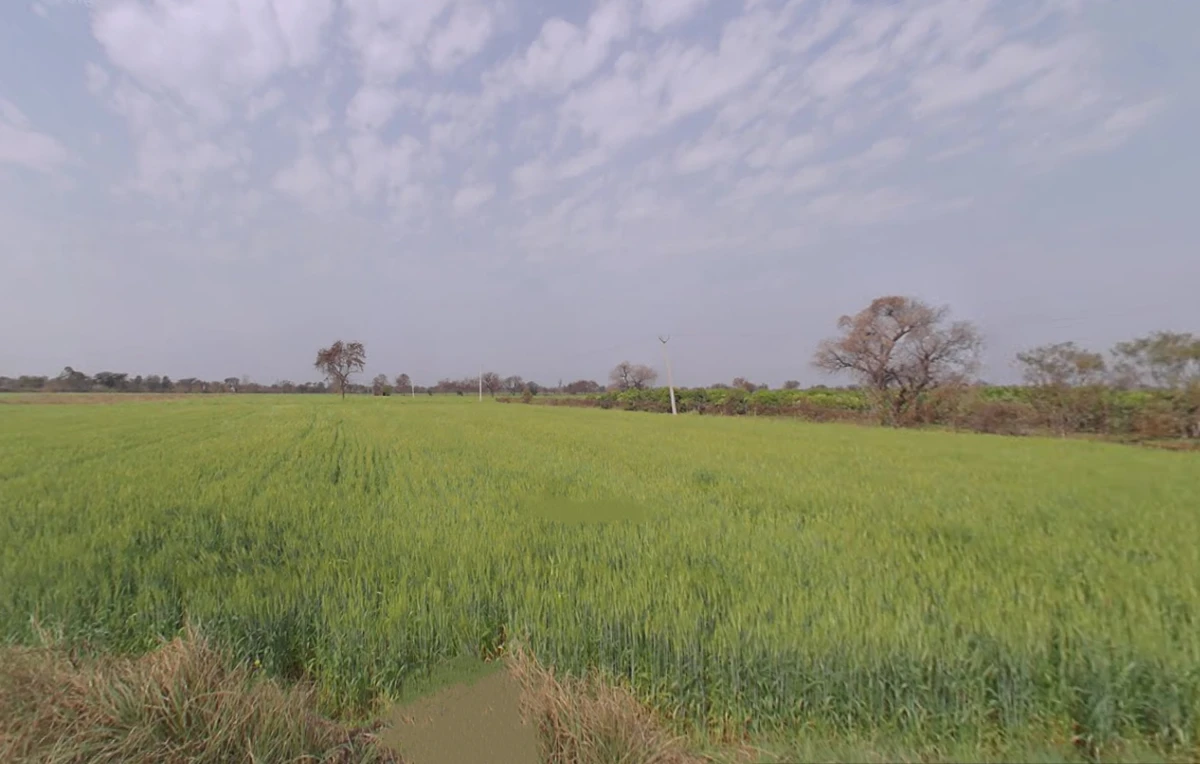 Nangal Mundi, Haryana, India