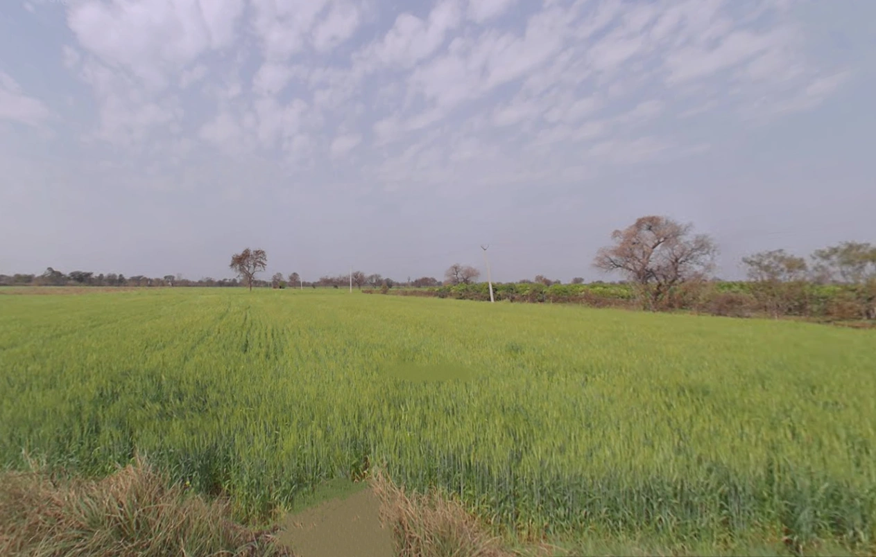 Nangal Mundi, Haryana, India