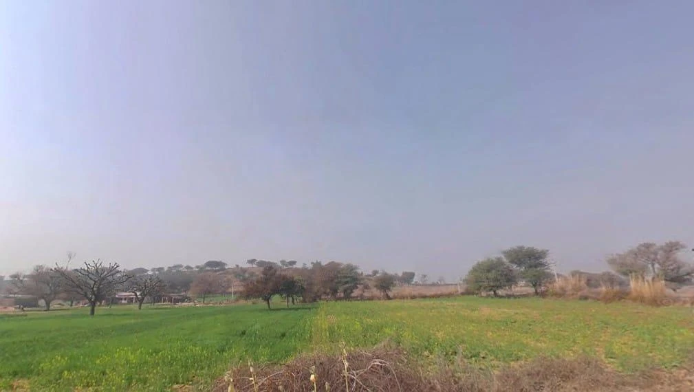 Khachariawas, Rajasthan 332710, India