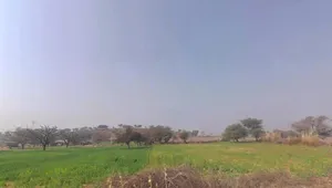 Khachariawas, Rajasthan 332710, India preview 3