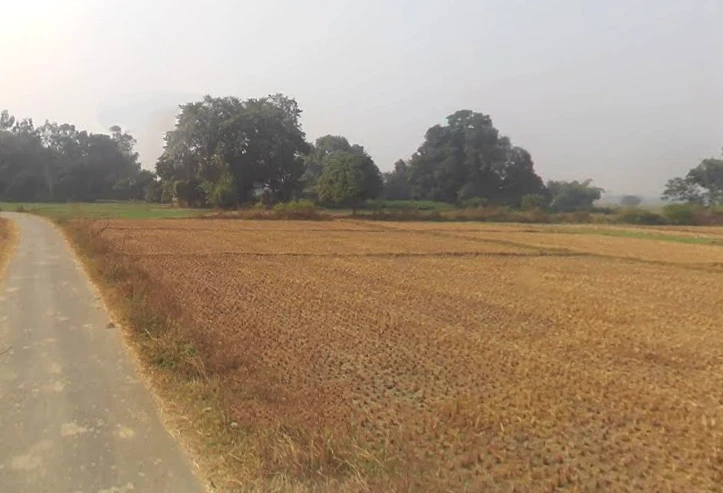 Marihan, Uttar Pradesh 231210, India