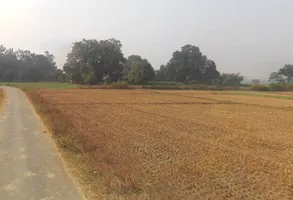 Marihan, Uttar Pradesh 231210, India preview 2
