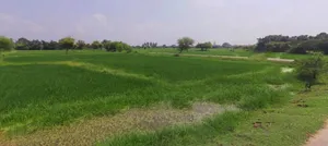 Khatoo, Rajasthan 332602, India preview 3