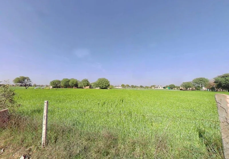 4Q8M+G8 Boodthal, Rajasthan, India preview 2