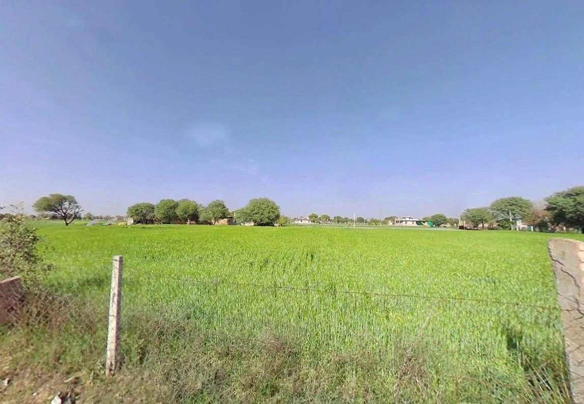 4Q8M+G8 Boodthal, Rajasthan, India