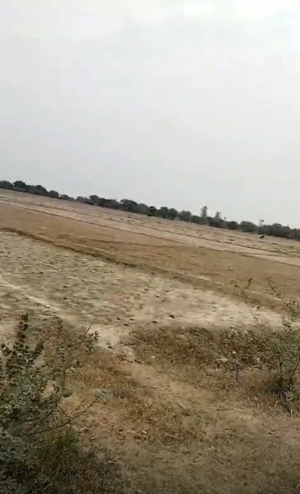FQ4C+PC5, Purwa, Uttar Pradesh 209825, India