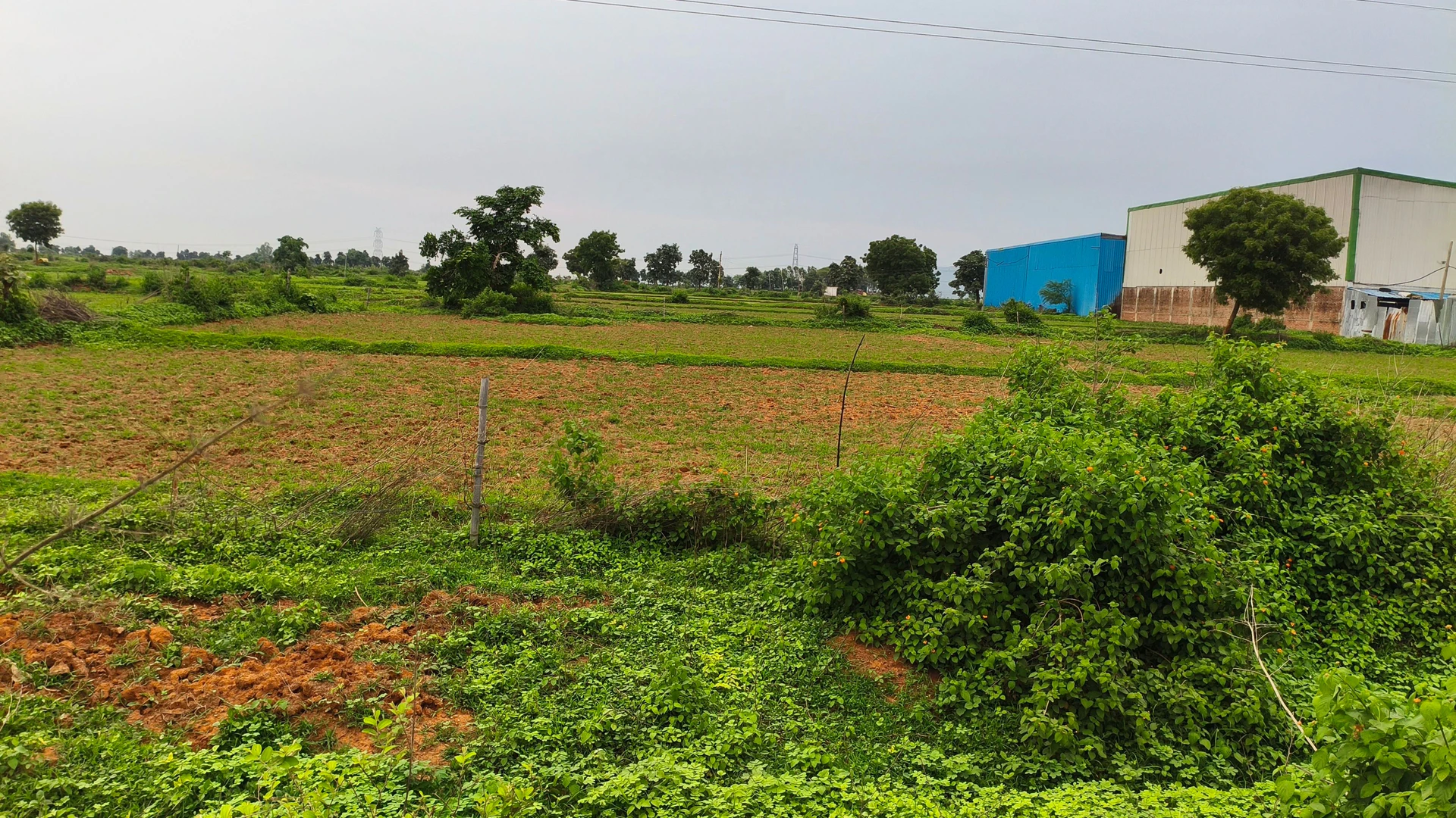 Goraiya, Satna, Madhya Pradesh, India