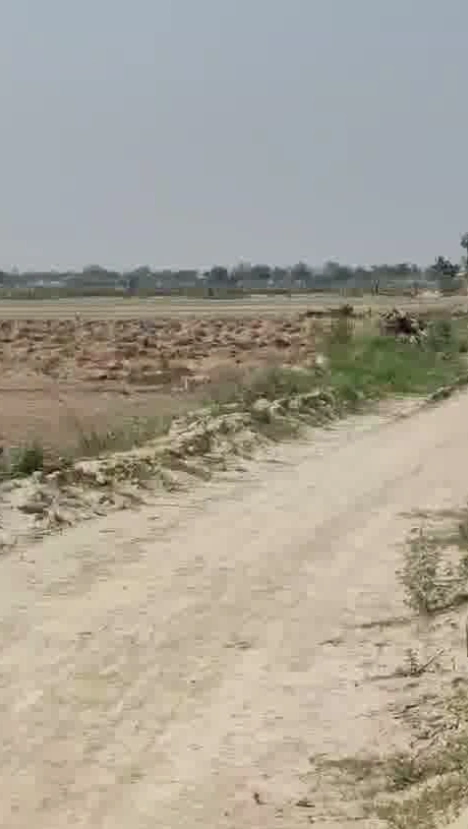 45QQ+96 Mandkola, Palwal, Haryana, India