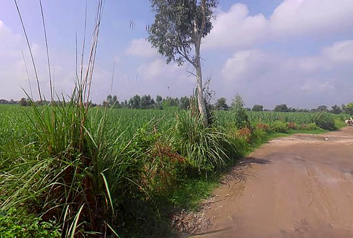 Bhaguwala, Uttar Pradesh 246749, India