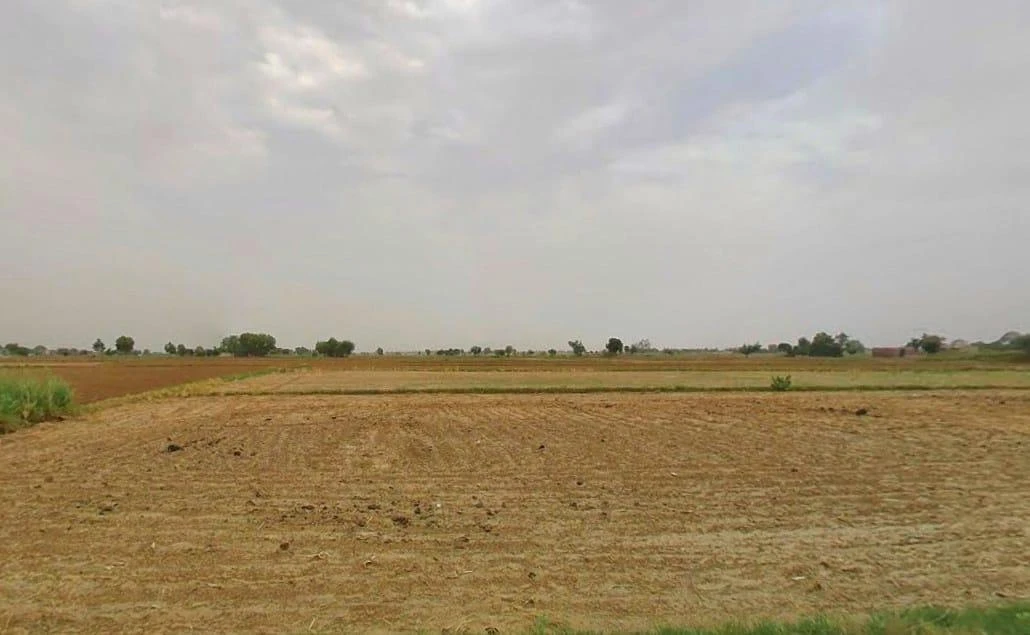 Desuri, Rajasthan 306703, India