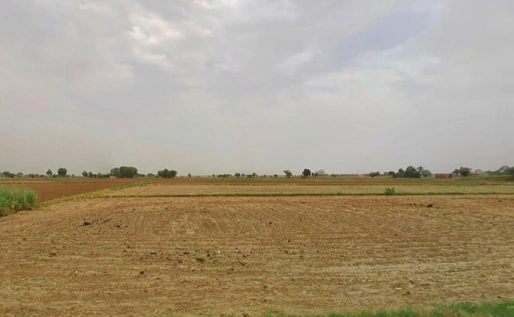 Desuri, Rajasthan 306703, India