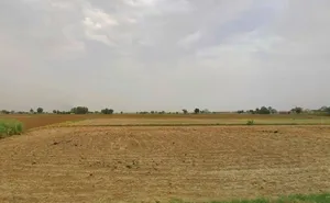 Desuri, Rajasthan 306703, India preview 2