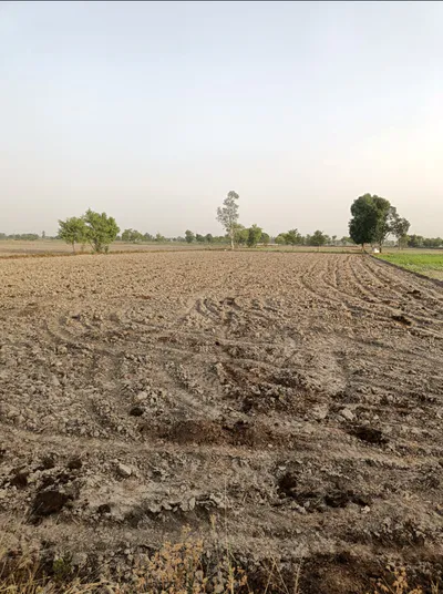 W9W9+JJ Pilana, Baghpat, Uttar Pradesh, India preview 2