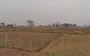Raiyarao, Madhya Pradesh, India preview 2