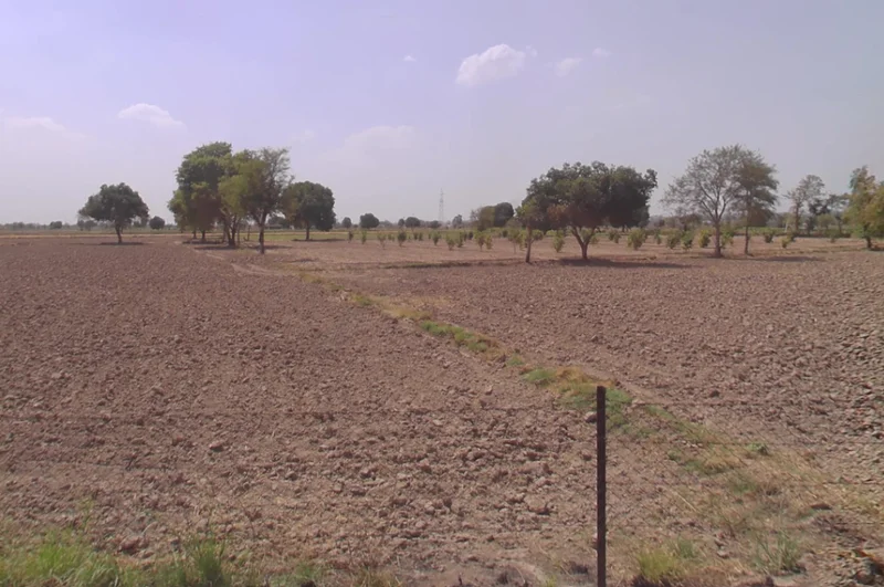 Hansi, Haryana 125033, India preview 3