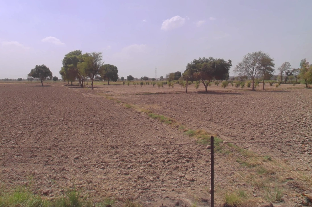 Hansi, Haryana 125033, India