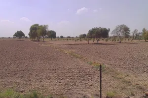 Hansi, Haryana 125033, India preview 3