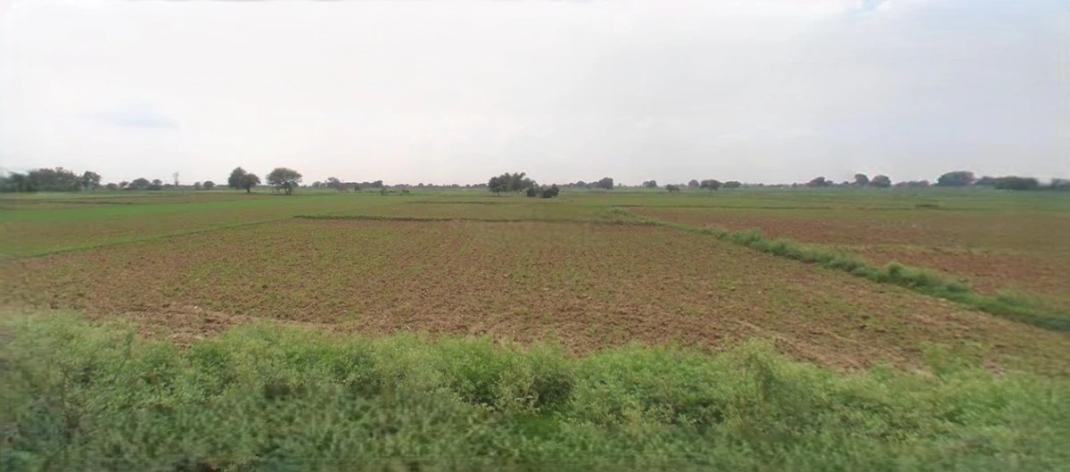 Sri Ganganagar, Rajasthan, India
