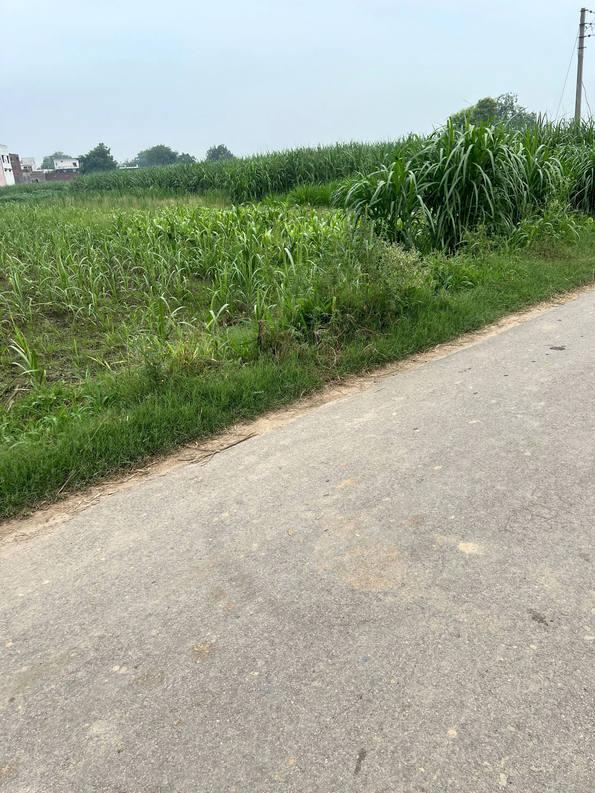 Modinagar, Uttar Pradesh, India