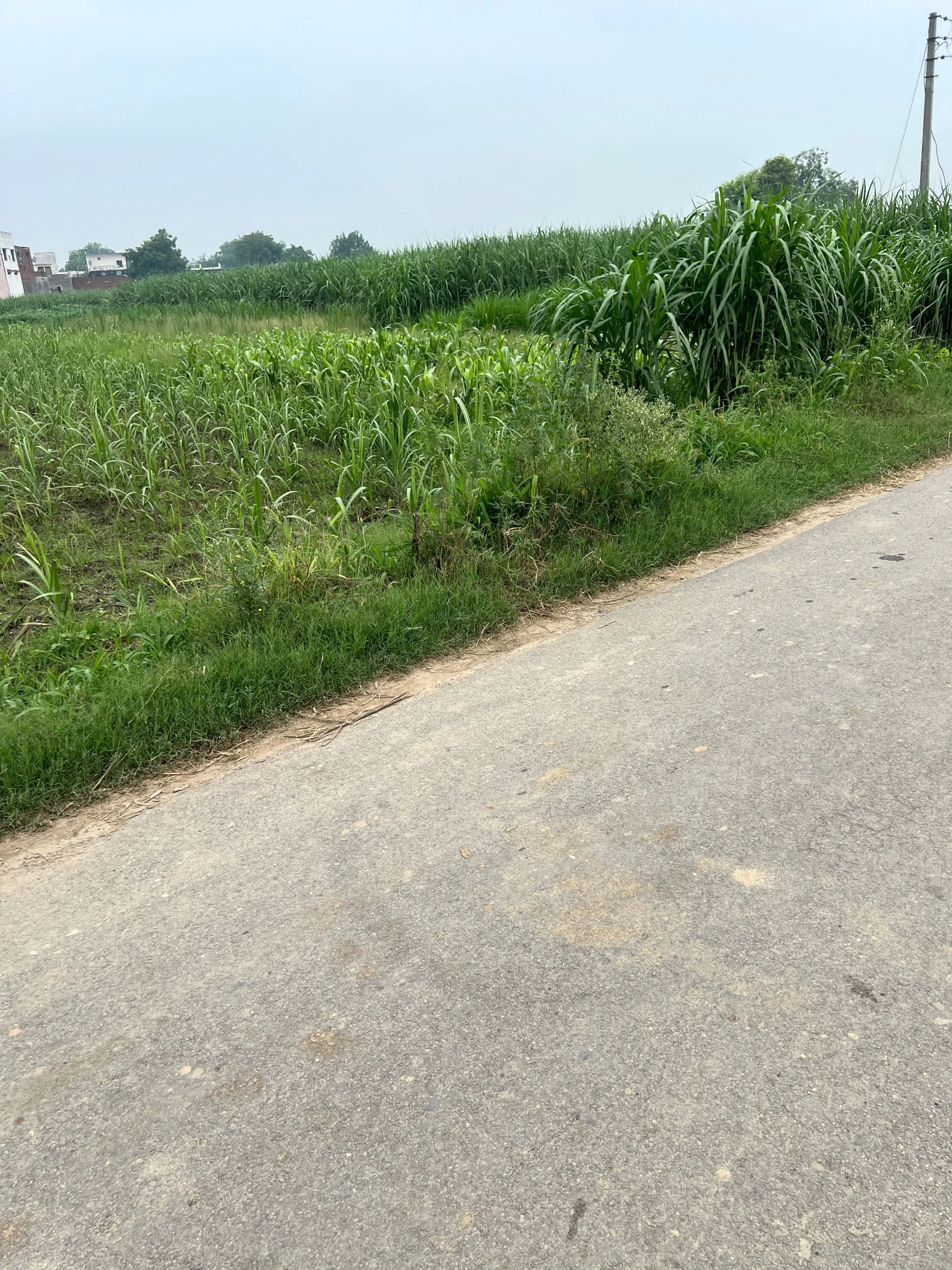 Modinagar, Uttar Pradesh, India