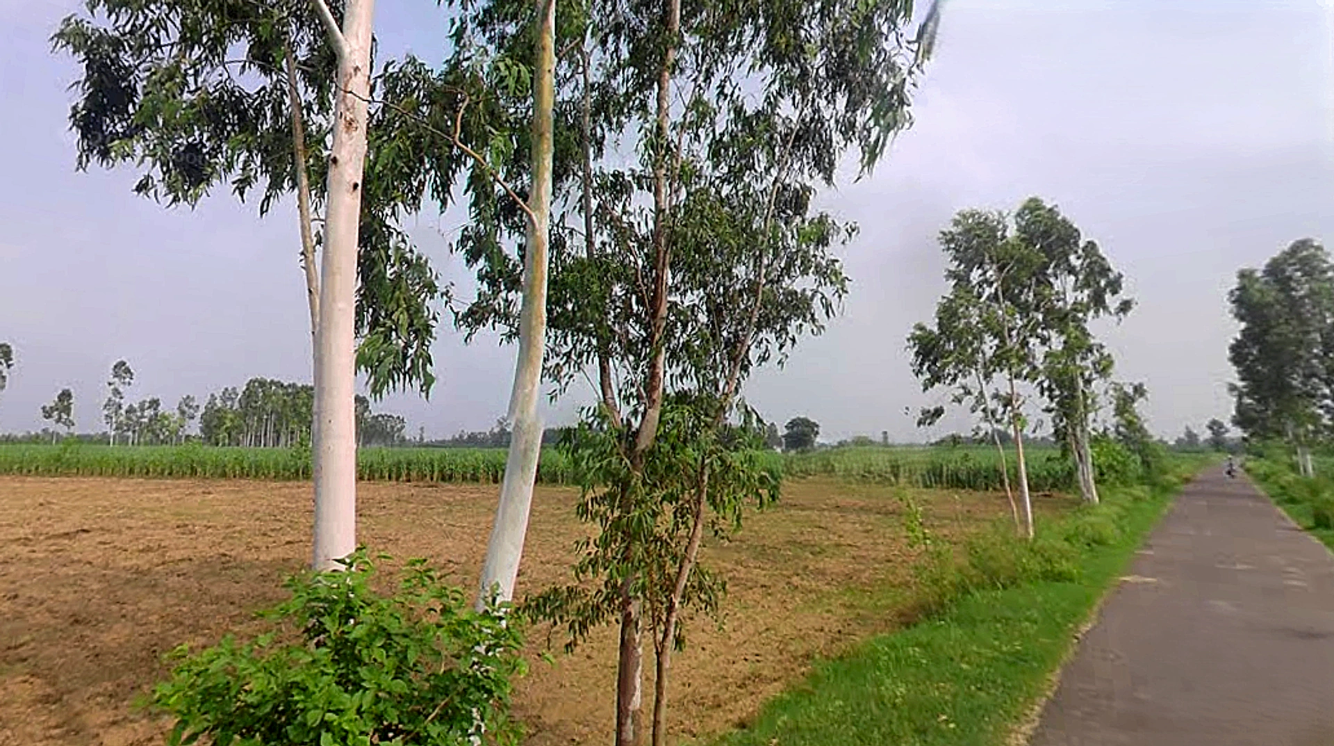 Jansath, Uttar Pradesh 251314, India