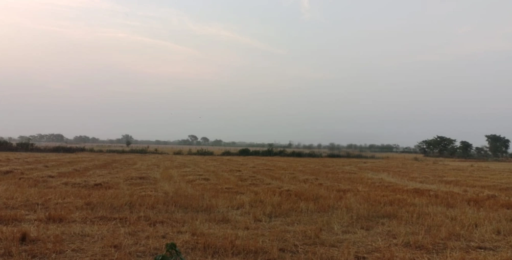Tewar, Punjab 140301, India preview 3