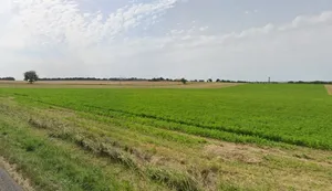 Mandideep, Bhopal, Madhya Pradesh 462046, India preview 3