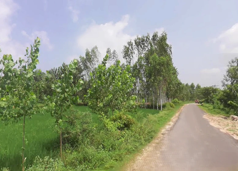 Anwarpur Barauli, Uttar Pradesh 247129, India
