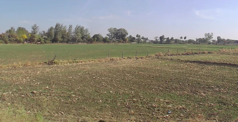 Adampur, Madhya Pradesh, India preview 3