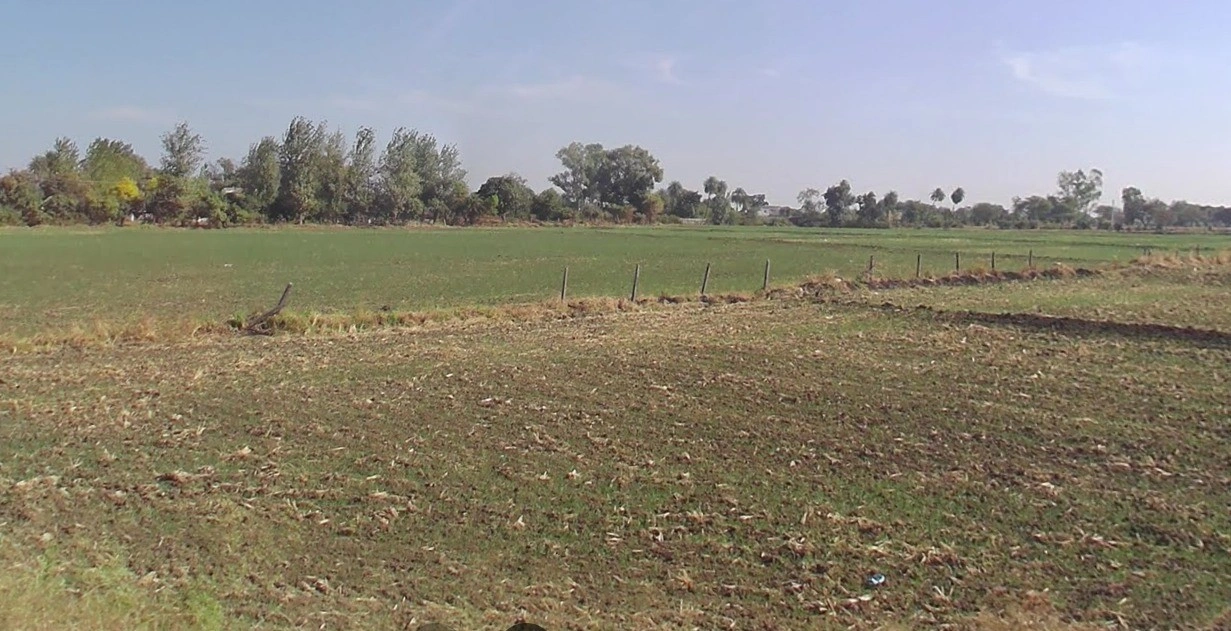 Adampur, Madhya Pradesh, India