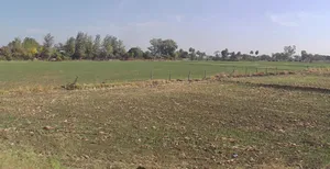 Adampur, Madhya Pradesh, India preview 3