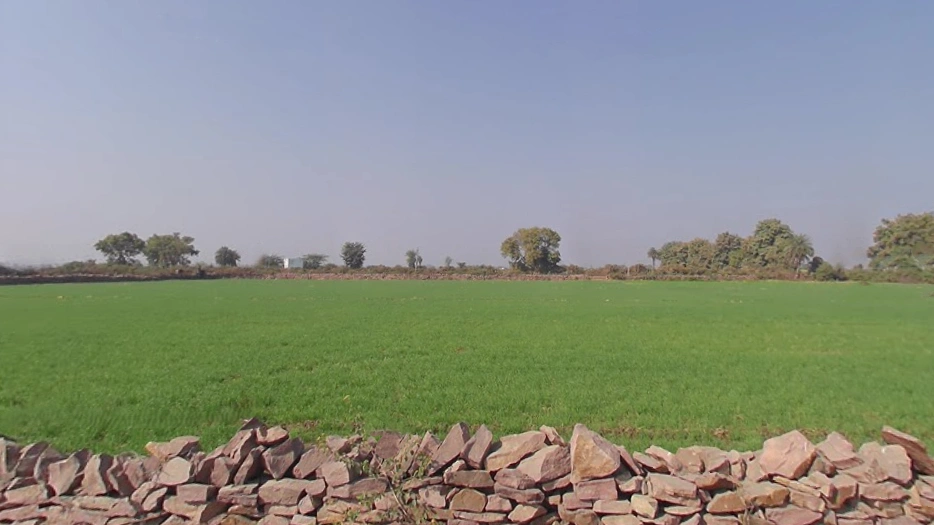 Kethun, Rajasthan 325001, India