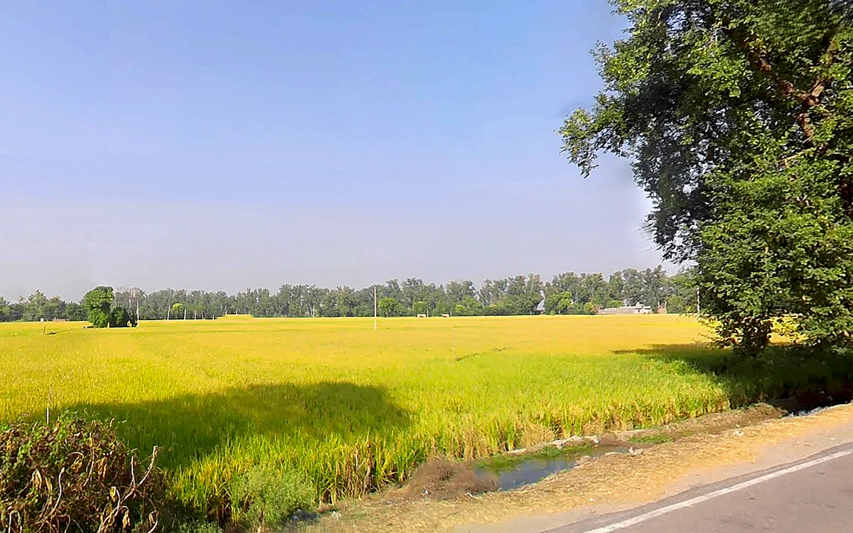 Jiwan Nagar, Haryana 125075, India