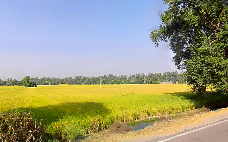 Jiwan Nagar, Haryana 125075, India preview 2