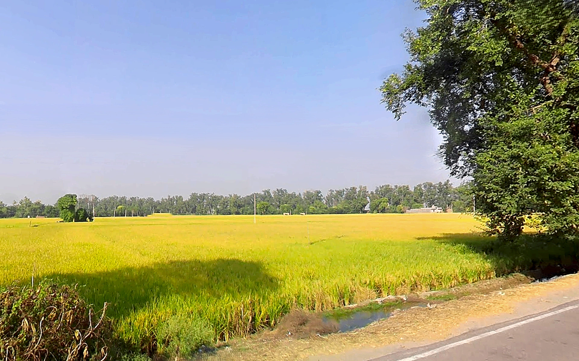 Jiwan Nagar, Haryana 125075, India