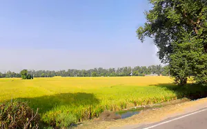 Jiwan Nagar, Haryana 125075, India preview 2