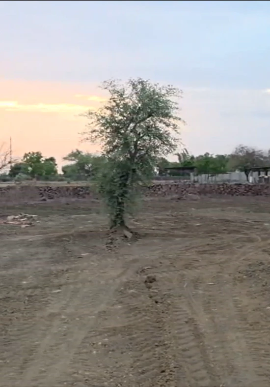 CHHJ+7P DewanGanj, Madhya Pradesh, India