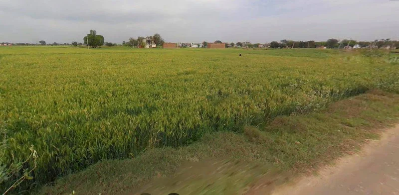 Lucknow, Uttar Pradesh, India preview 2