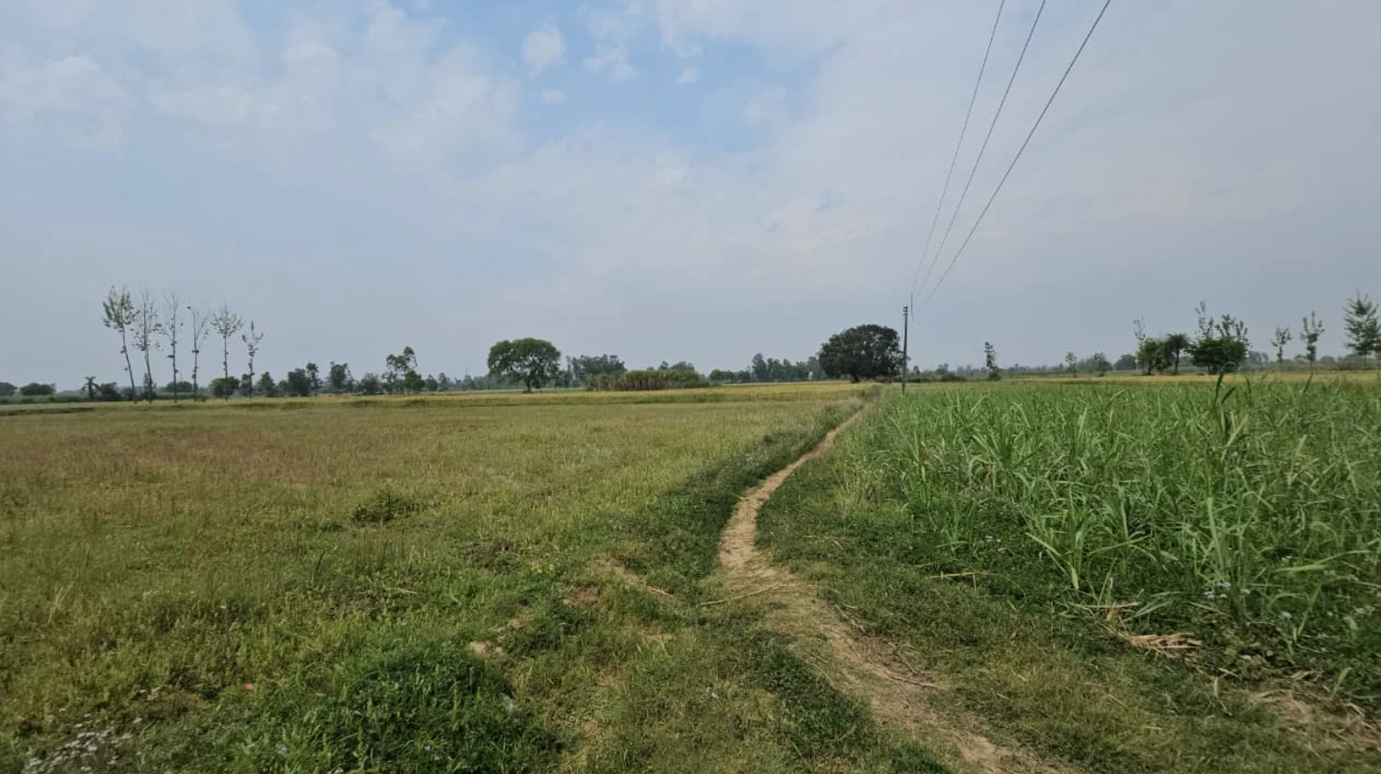 Rampur Gainda, Haryana, India