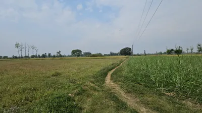 Rampur Gainda, Haryana, India preview 3