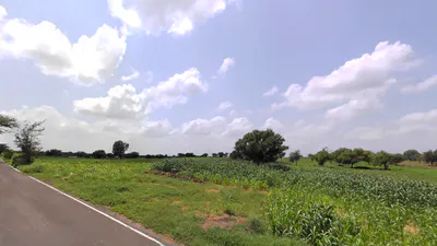 Balsamand, Haryana 125004, India preview 2