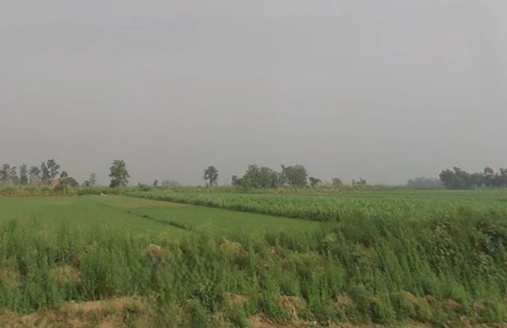 3VR5+JVQ, Mawana Khurd, Uttar Pradesh 250401, India