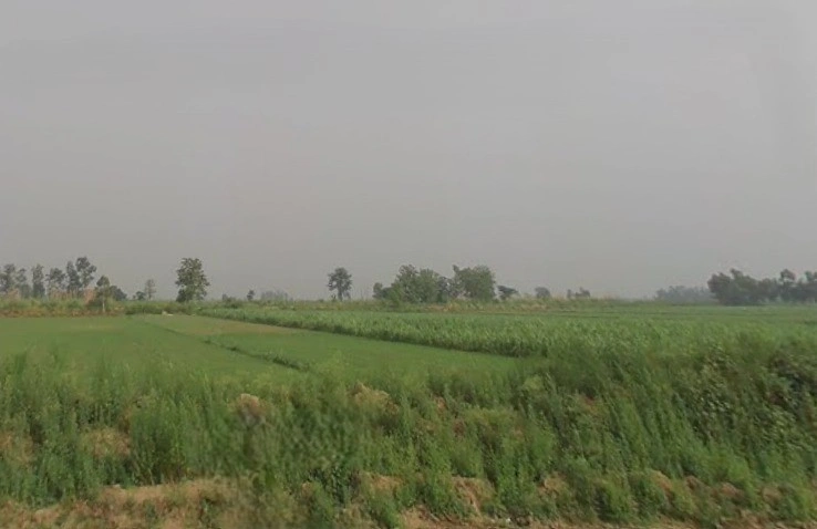 3VR5+JVQ, Mawana Khurd, Uttar Pradesh 250401, India