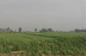 3VR5+JVQ, Mawana Khurd, Uttar Pradesh 250401, India preview 3